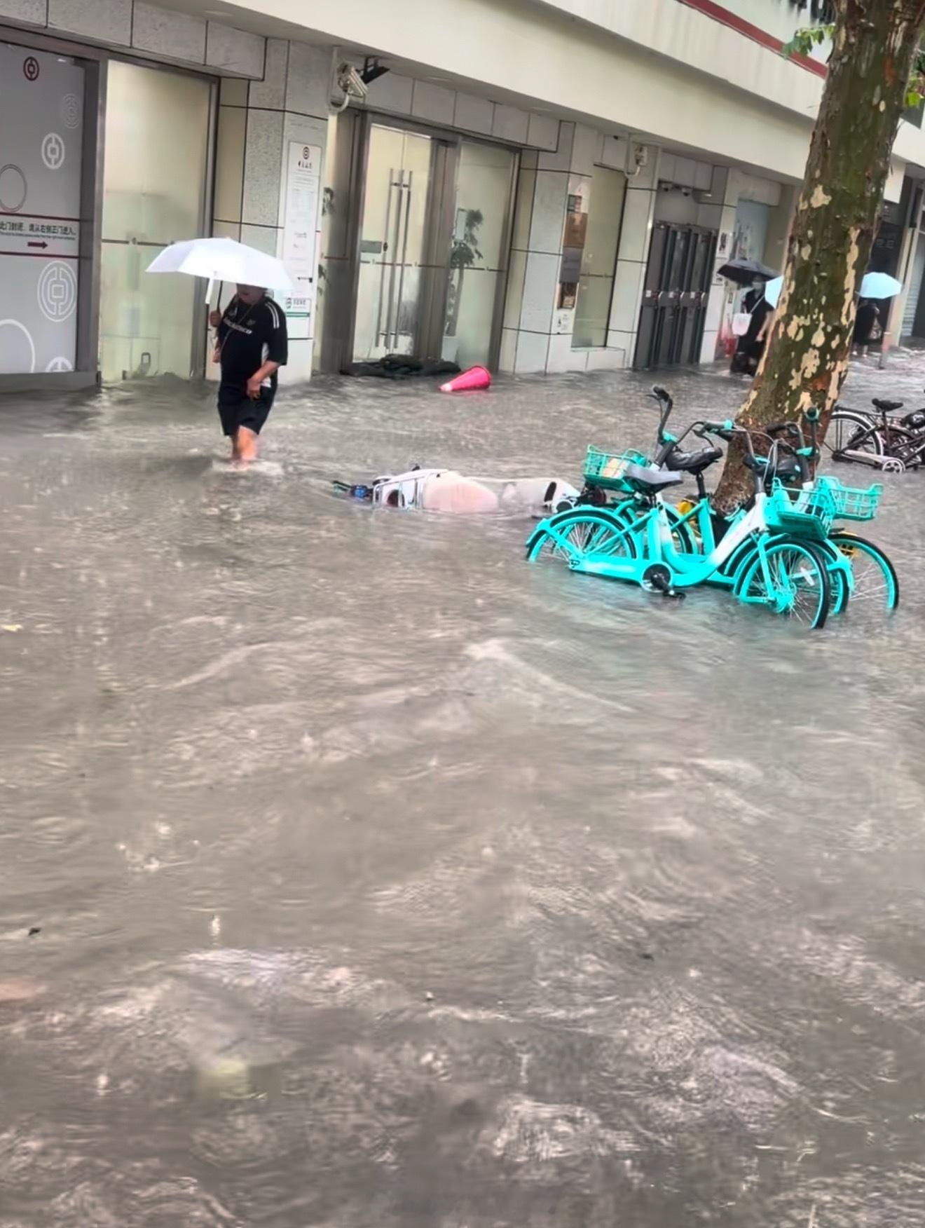 白海豚最大可能登陆地点寸步难行 