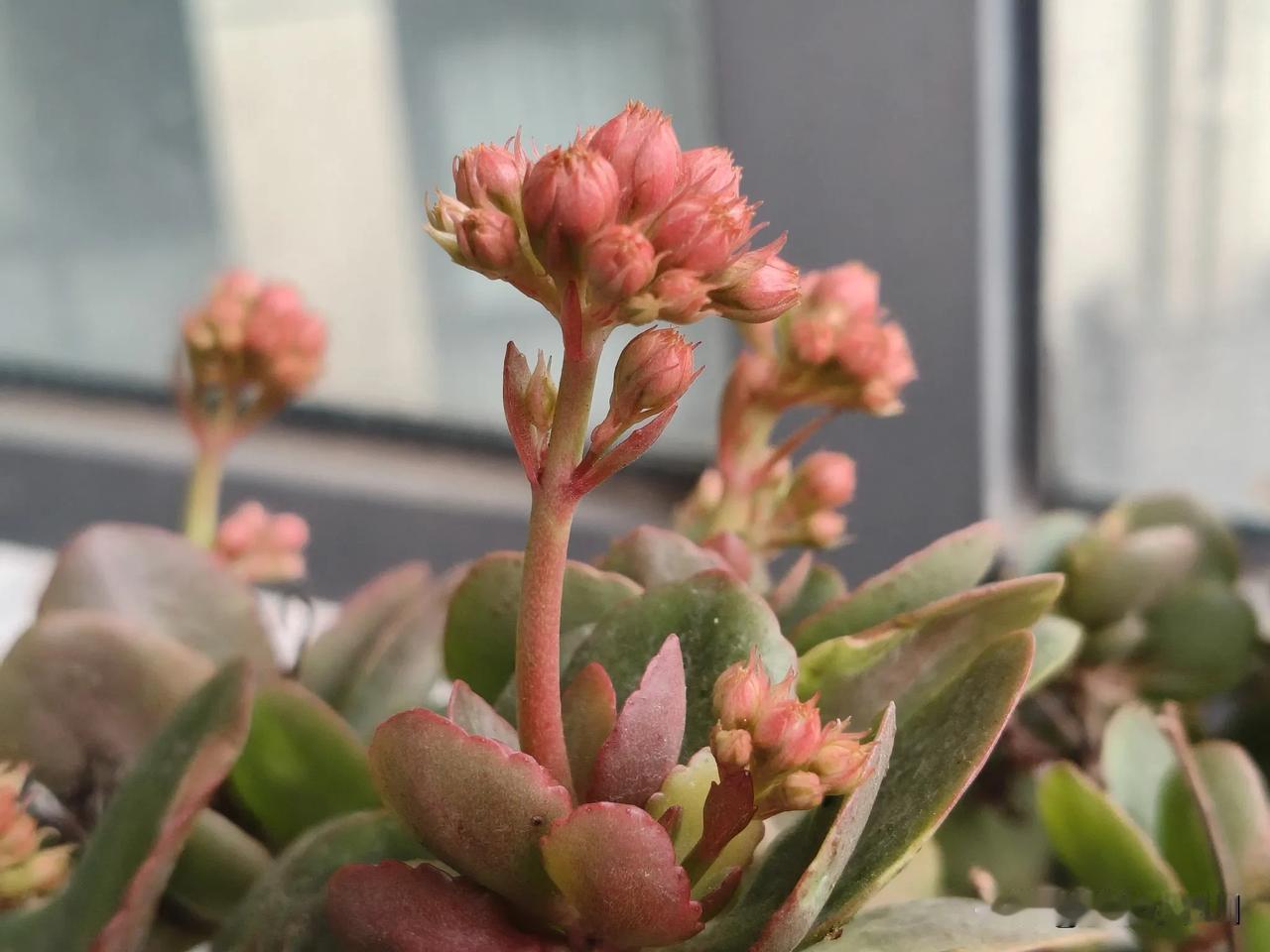 逗比老公今天对他大仔子说
儿子啊！你看老爸挣的钱只能勉强把你们养大，想要给你存点