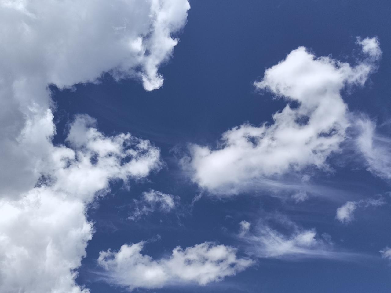 波兰总理趁总统出国访问之际，突然发动政变，要说这个是政变可能还差点意思，因为他主