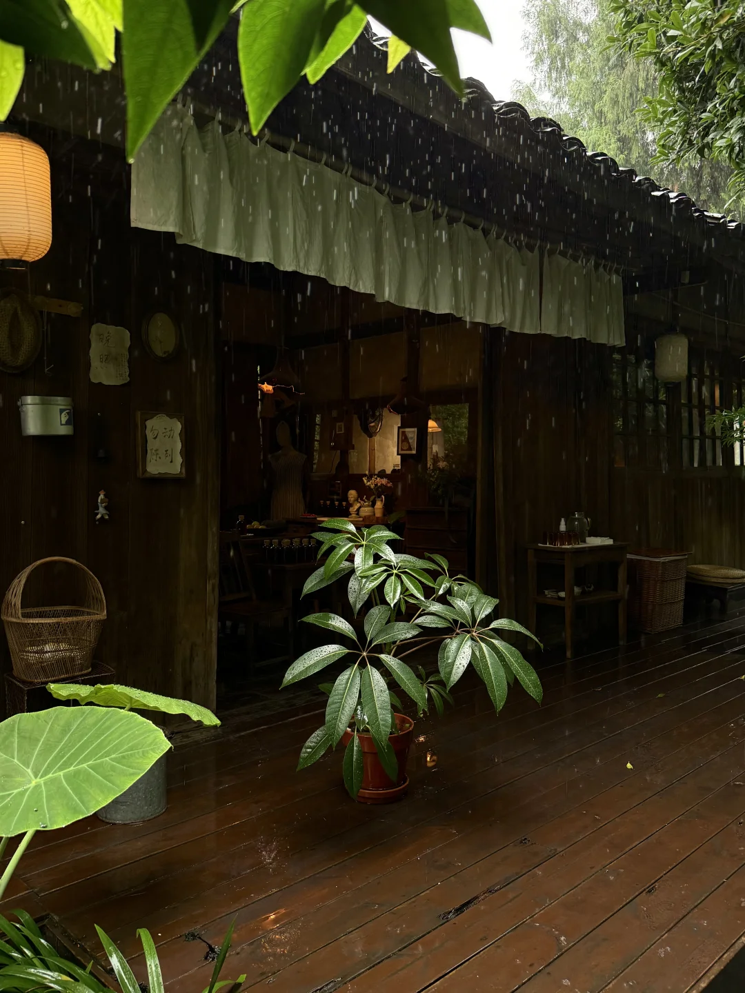 “下雨天：真的很舒服…..”