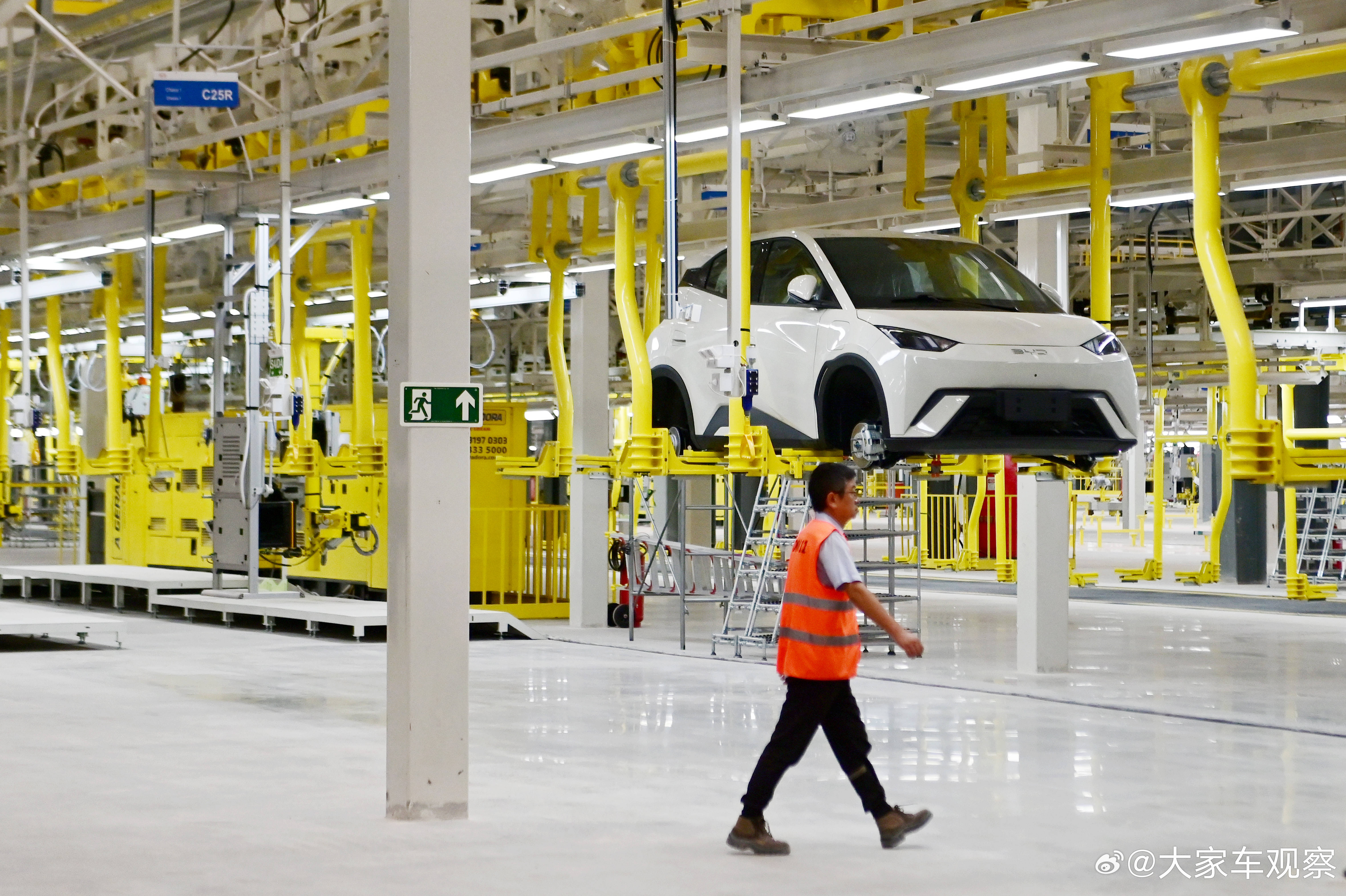 2025年中国汽车出海取得了瞩目的成绩，共出口汽车709.8 万辆，同比增长 2