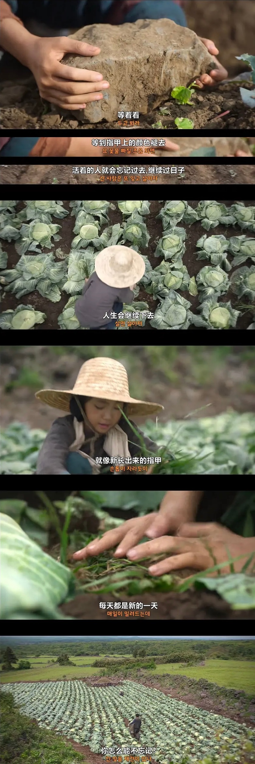 人生会继续下去就像新长出来的指甲/ 苦尽柑来遇见你 ​​​
