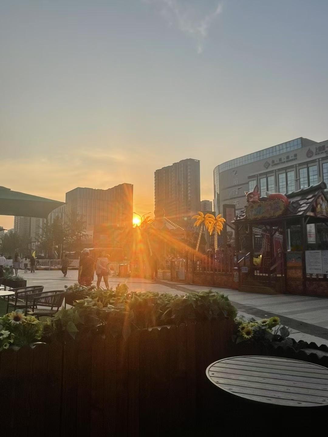 冬日生活打卡季