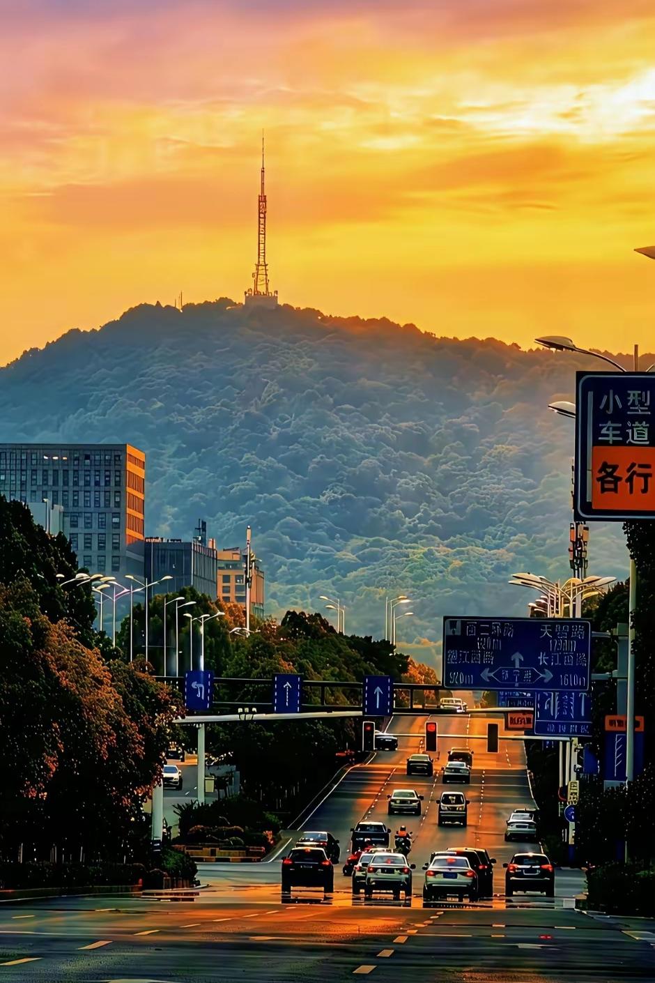 这几日单位里的同事们都在忙着注册教师资格证，网络卡顿、登不上系统、上传的照片不合