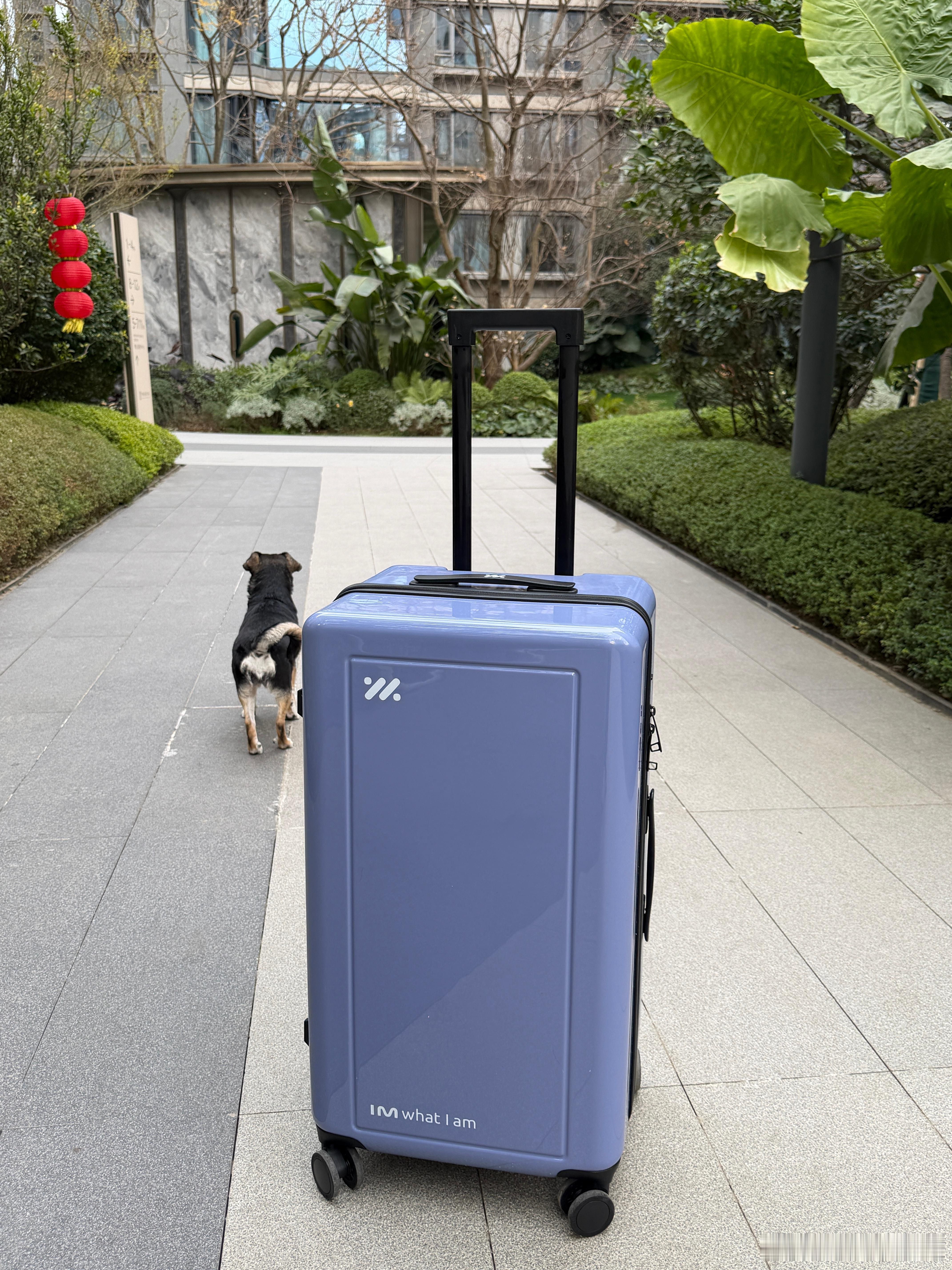 智己今年这个行李箱太适合装头盔 赛车服之类的了帅帅气气我的日常plog 成都