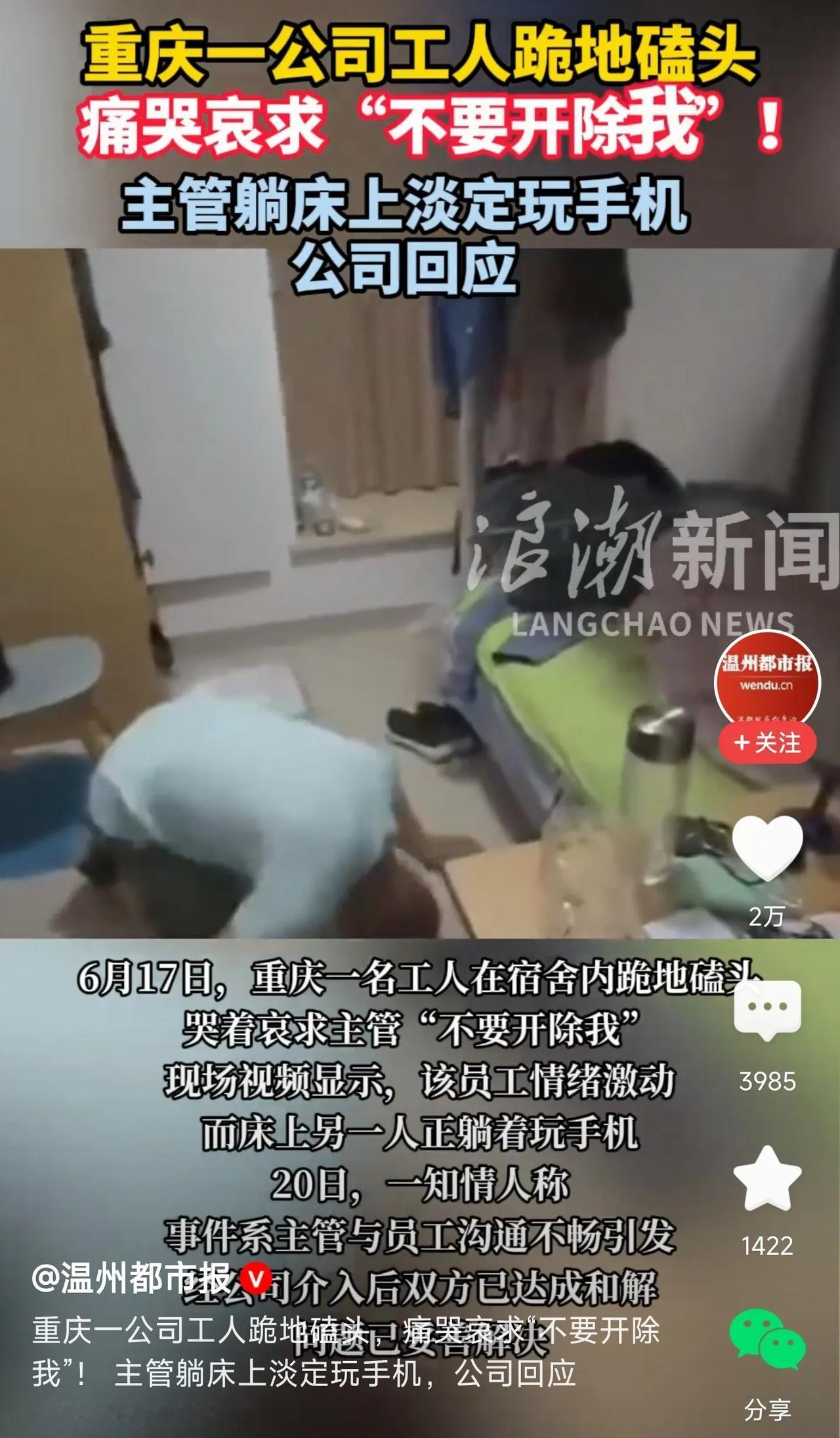 人怎么可以为一份工作如此卑微？五体投地、跪地磕头、痛苦哀求，只为了“不要开除我”