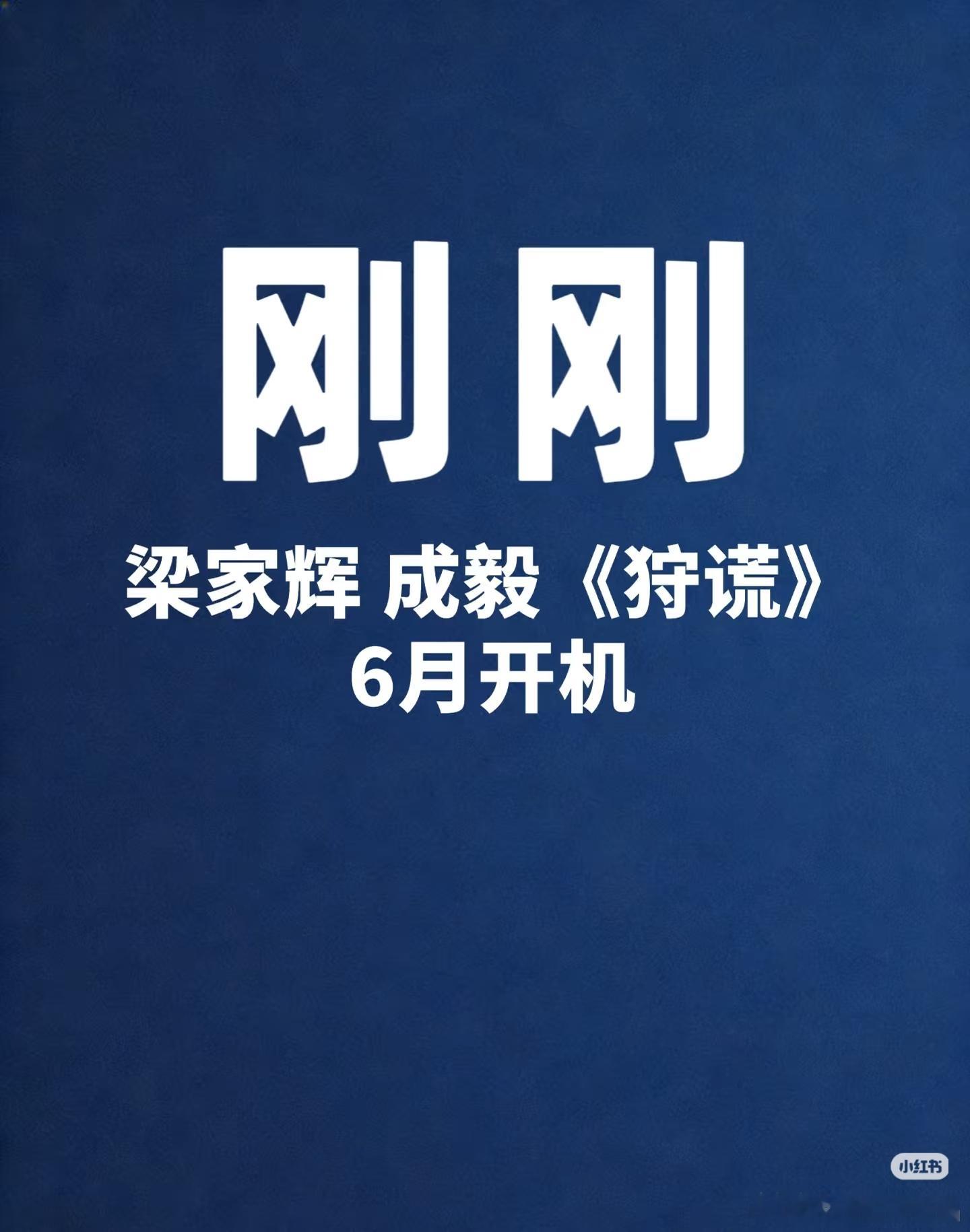 被梁家辉经纪人打假了，还放开机瓜