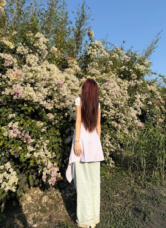 在汕头 遇到一片花海🌸
