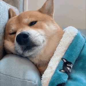 晚安玛卡巴卡，晚安唔西迪西，晚安依古比古，晚安汤姆布利波，晚安小点点，晚安叮叮车