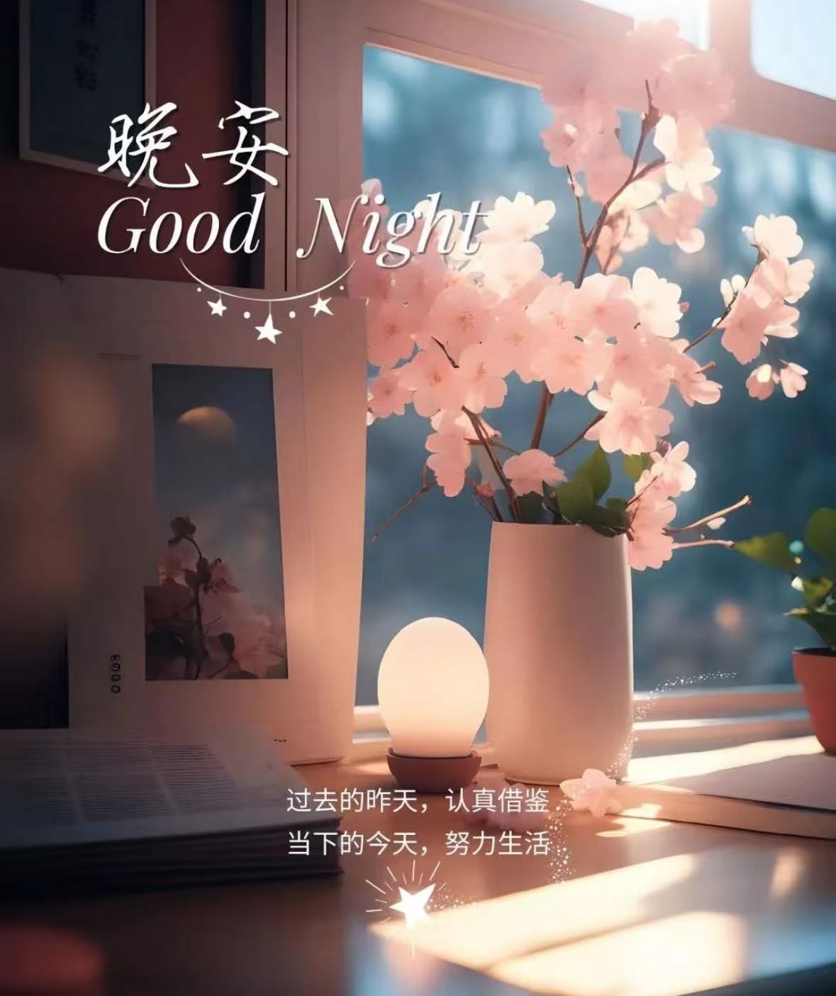 晚安💤别敷衍生活别惧怕挫折抓住每分每秒~ ​​​