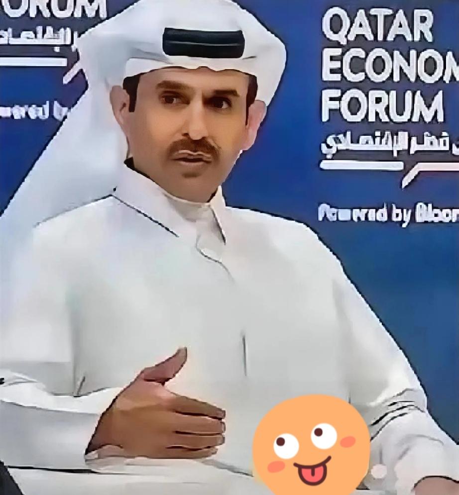 卡塔尔这波“断气”真的绝了

直接宣布对咱们、韩国、意大利和比利时停供天然气
