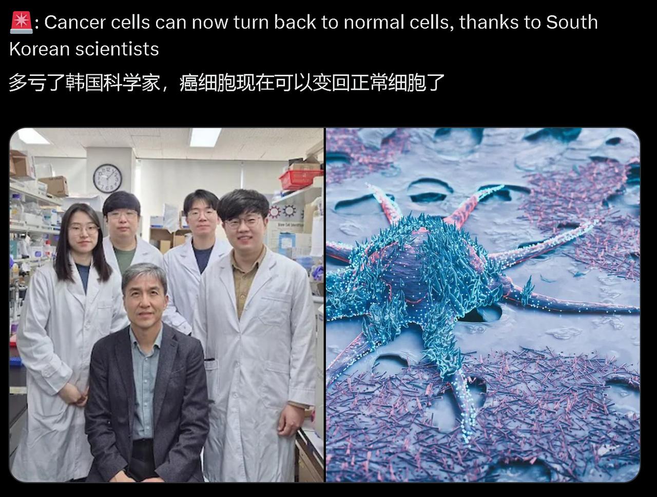 韩国赵光贤（Kwang-Hyun Cho）团队使得癌细胞的恶性表型被明显压制，同