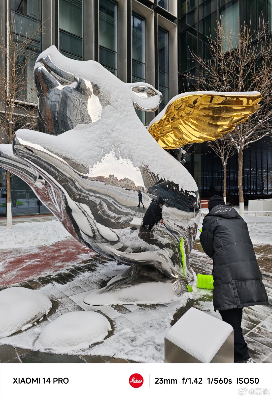#北京下雪#不就下个雪么？至于那么兴奋各种拍照么？南方人比较少看雪很正常。没错正