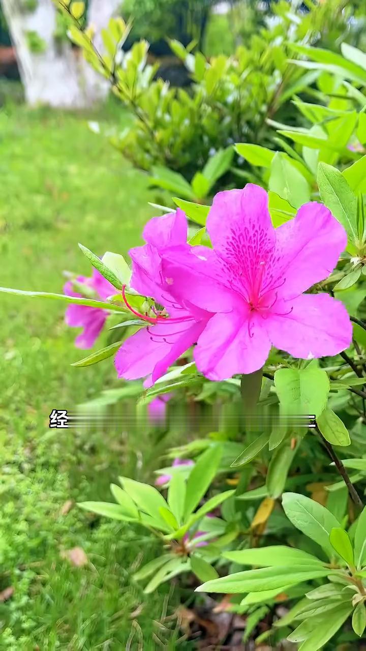这就是每月工资一万的老公，他在家的待遇就是这样的。我们认识二十二年，结婚八年，有