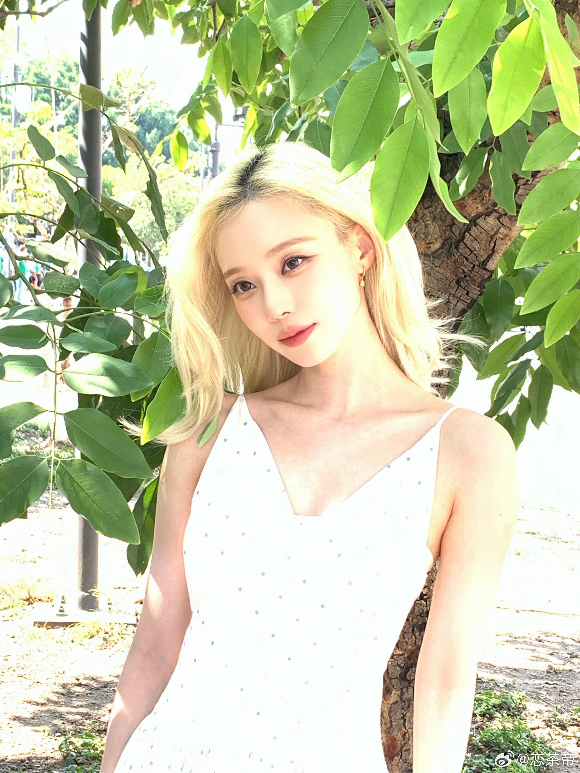 欧尼你太美好 