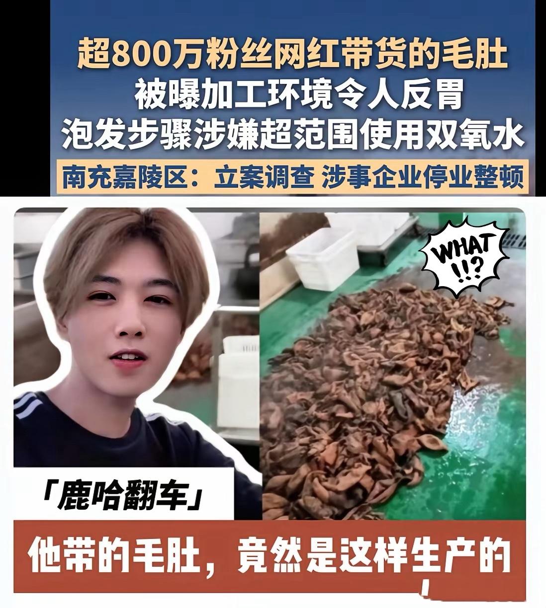 315还没正式开场，第一个彻底翻车的网红已经来了！

不是别人，正是靠模仿鹿晗走