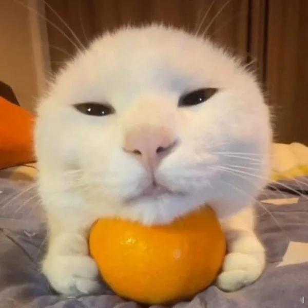 白银黄金直线暴跌中国大妈一定周末加仓了 