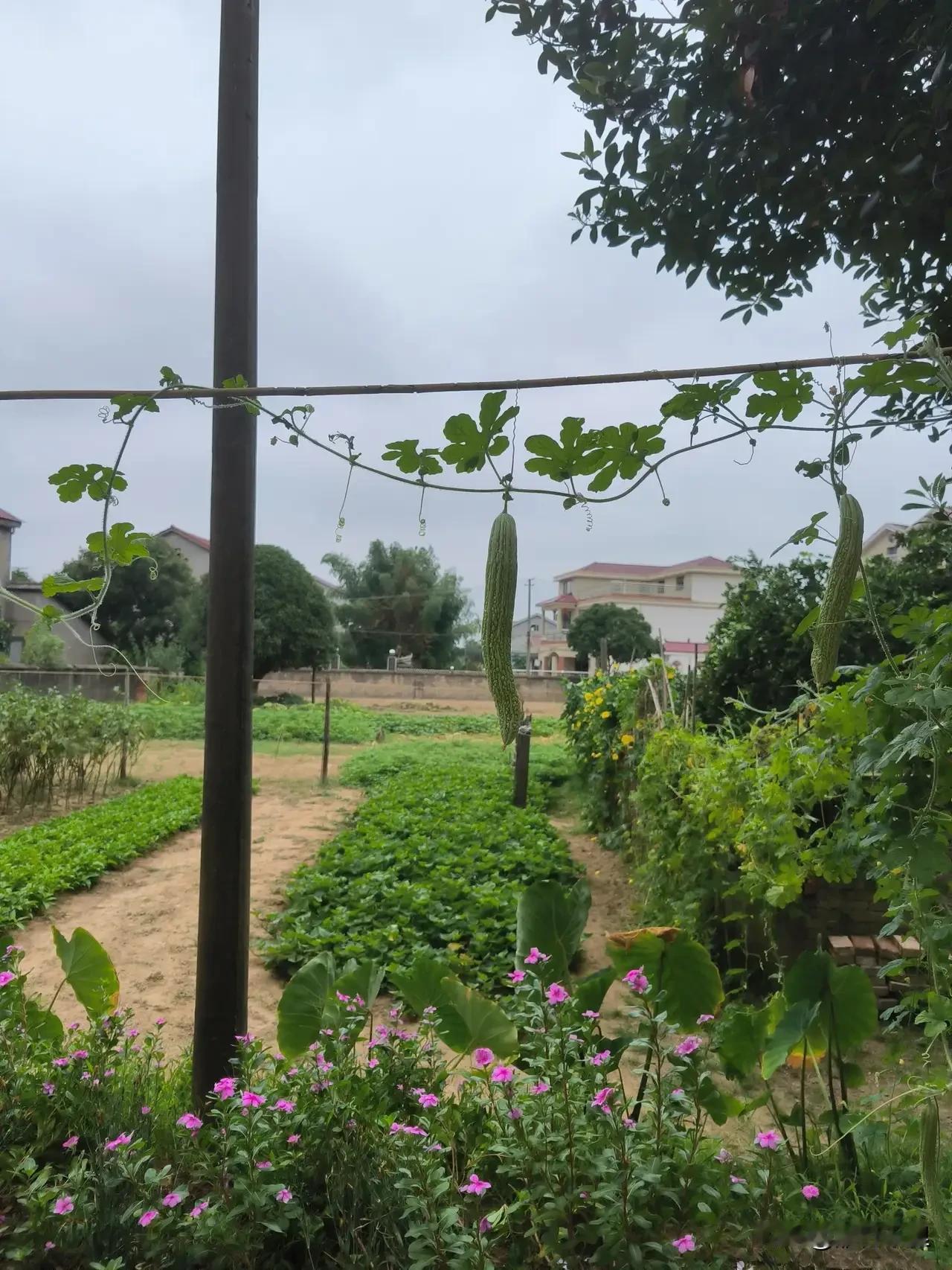 有个大学导师告诉他即将毕业的学生：

其实人生没有任何的意义，学术、名誉、头衔、