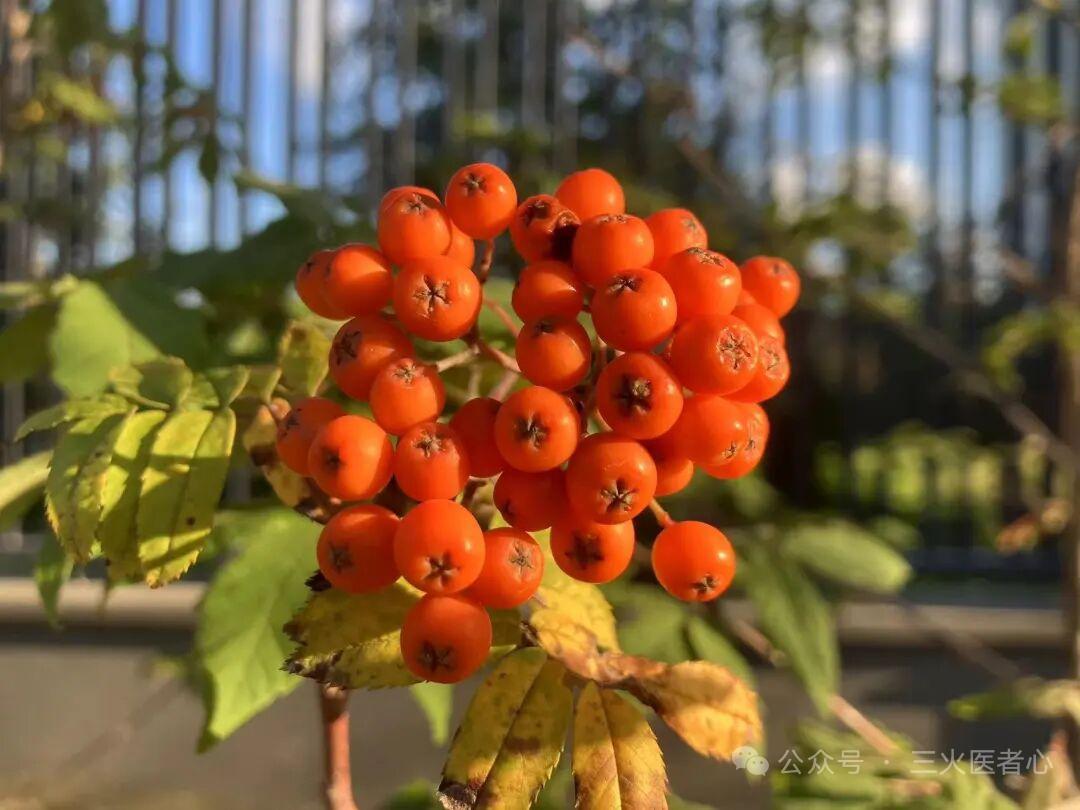 2026年很火的一句话：
爱妻爱子爱家庭
没有健康等于零
有钱有权有成功
没有健