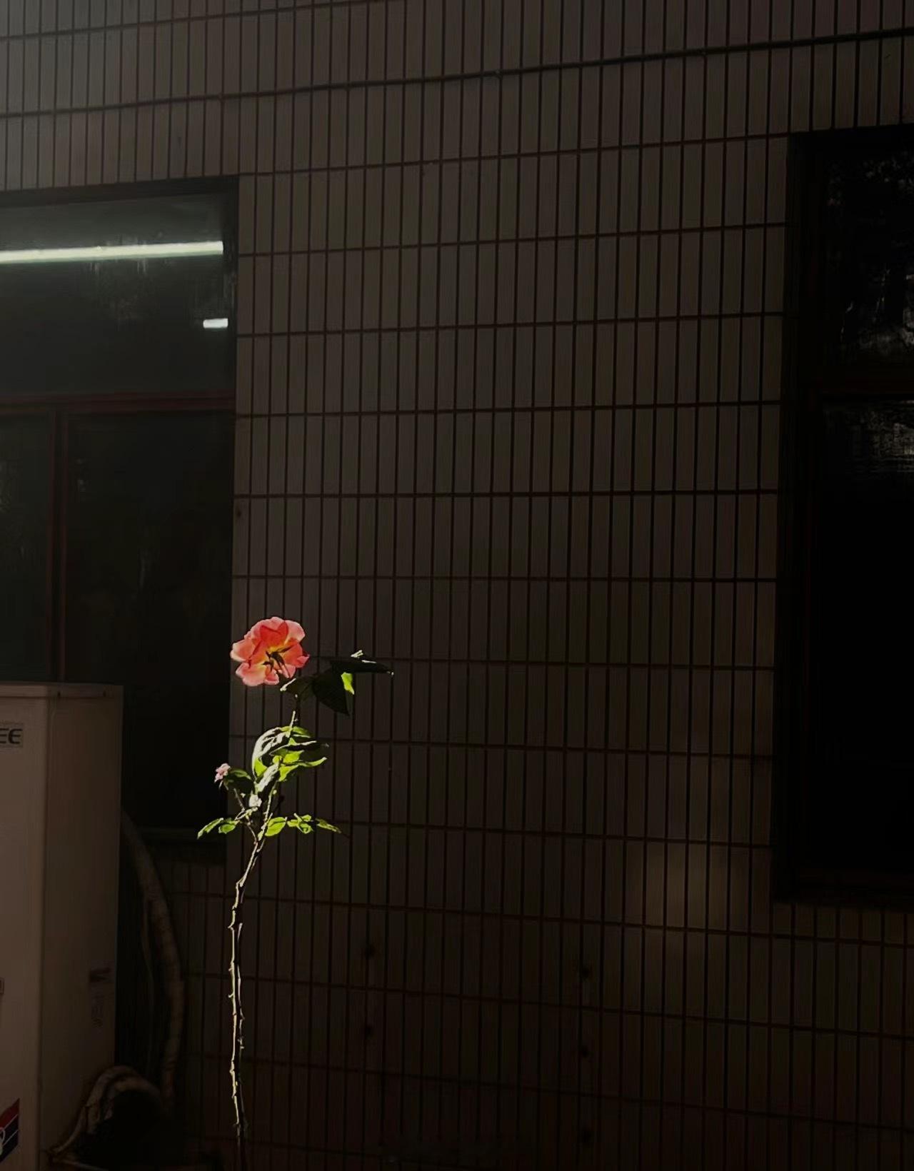 有人懂吗？ ​​​