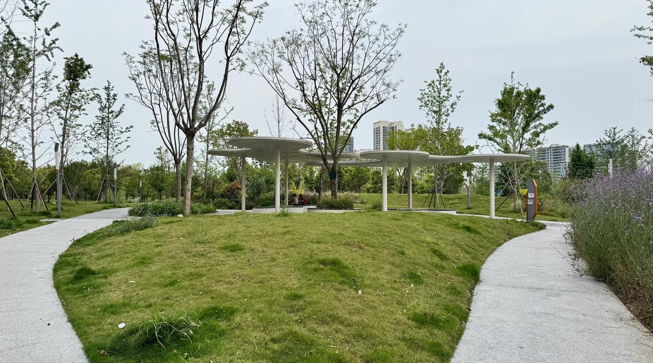 成都公园城市确实搞的不错
这个是广汇楼下的公园
基本上每个小区附近都有公园
这个