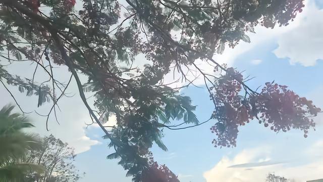 你见过收礼收到坐消防通道台阶上的吗？
86000的包，袋子原封不动，发票压在防尘