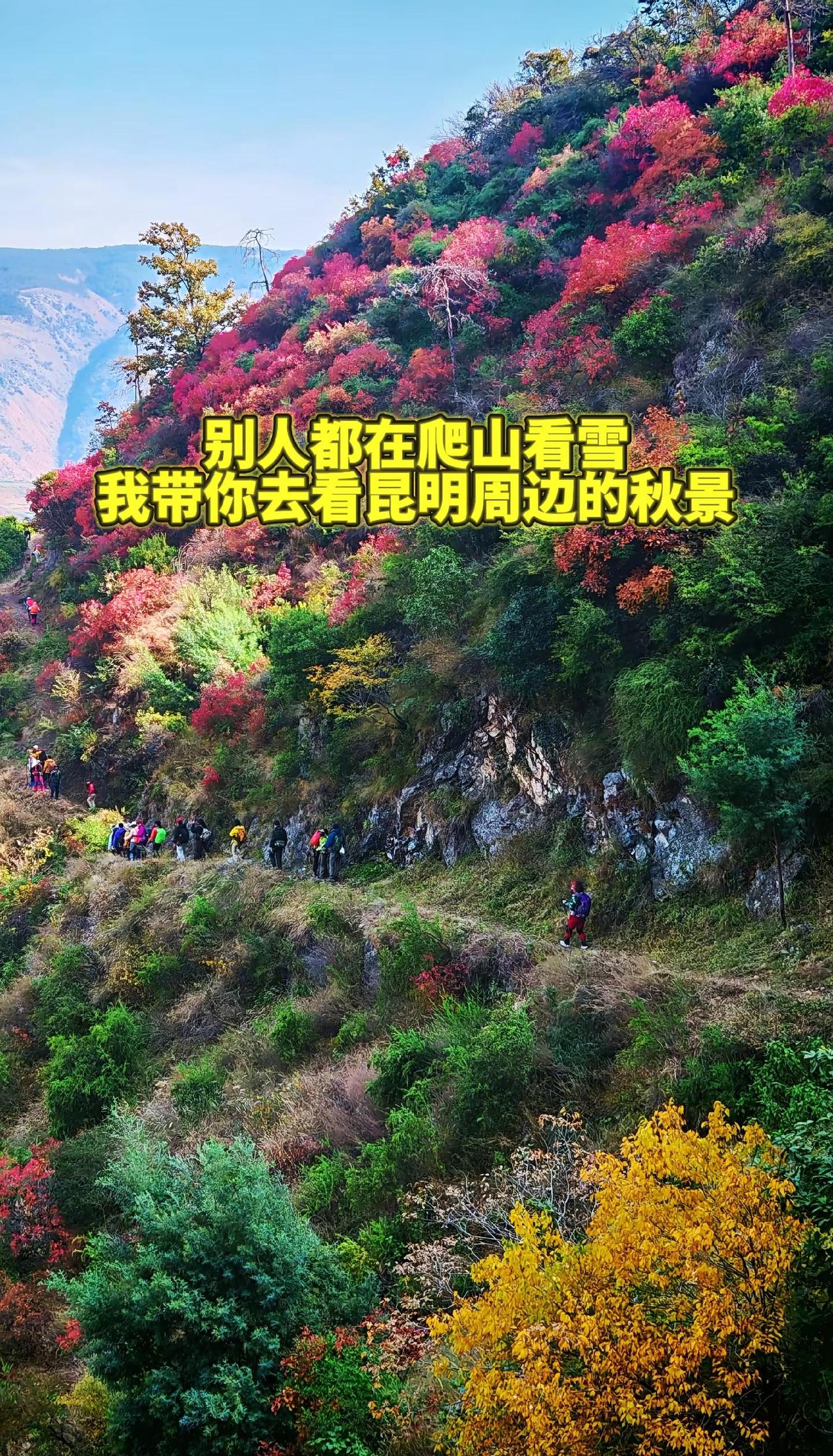 约你去爬轿子雪山、大牯牛山，你说早上起不来，天气太冷，海拔太高怕缺氧，那这次约你