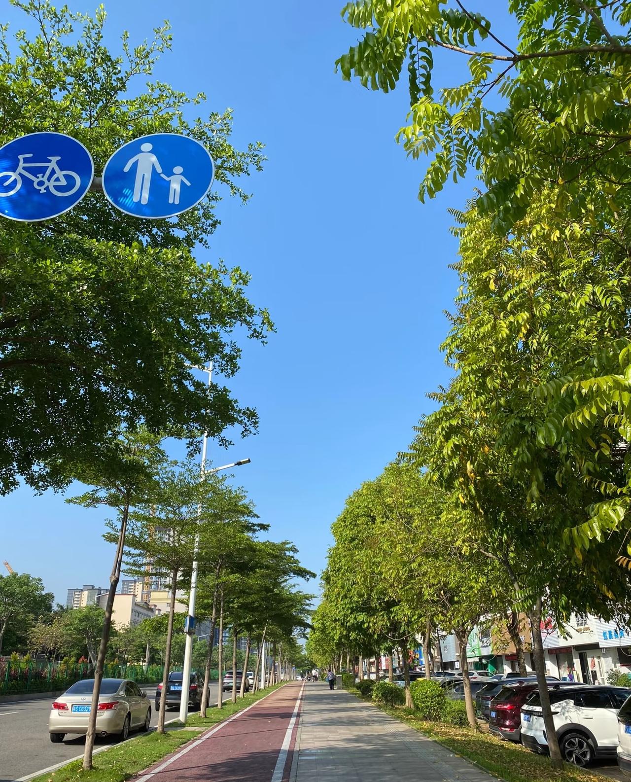 长寿的重要支柱是保持较低的精神压力。降低精神压力的一个角度是，生活方式中对抗和冲