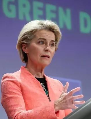 一个欧洲高官向欧盟发出了质疑：“要是我们真帮美国把中国搞垮了，那美国不是想干嘛干