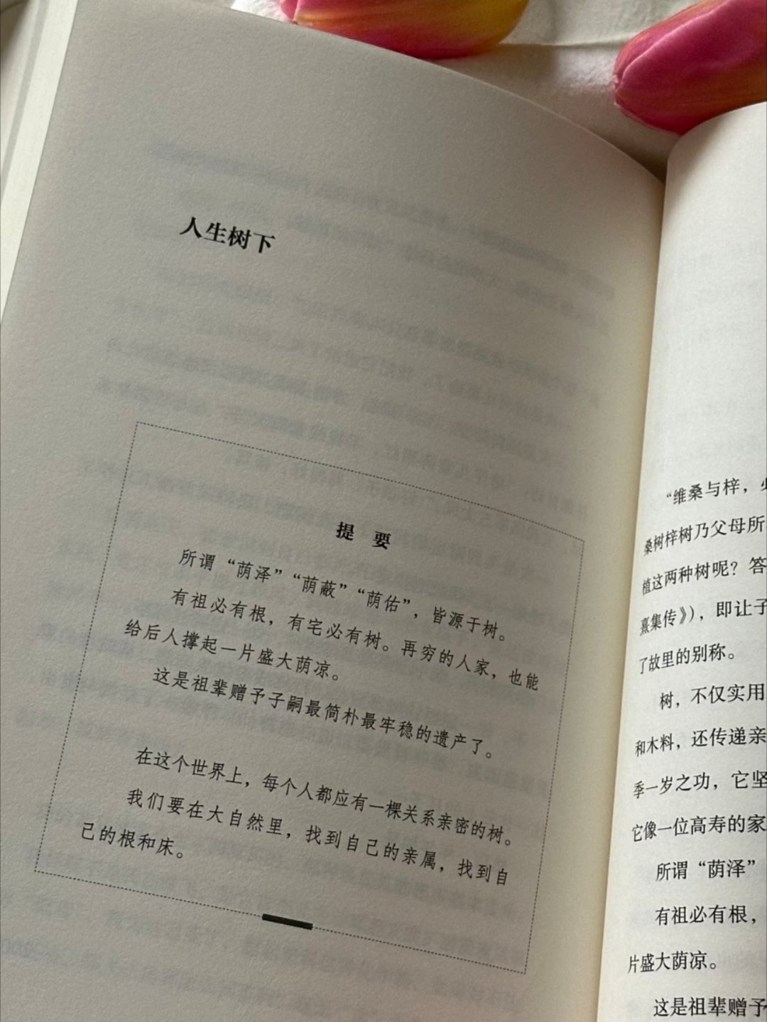 最近被这本书治愈到了！！让我的心清透了许多 