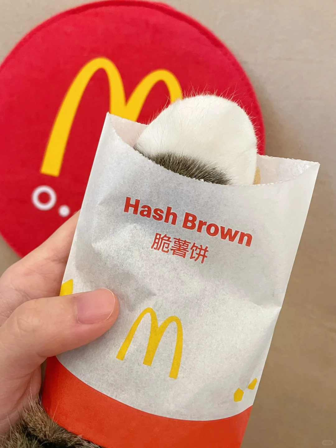 还有人没吃过麦门的隐藏菜单吗！？