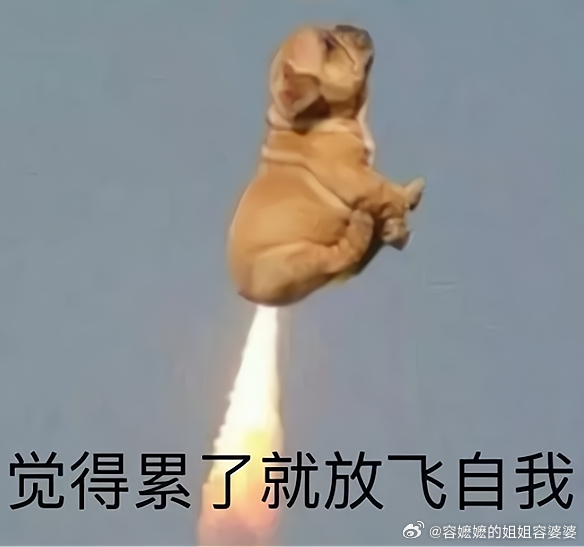 安理会决议要求伊朗停止打海湾国家安理会不带“长（zhǎng）”，放屁都不响。 