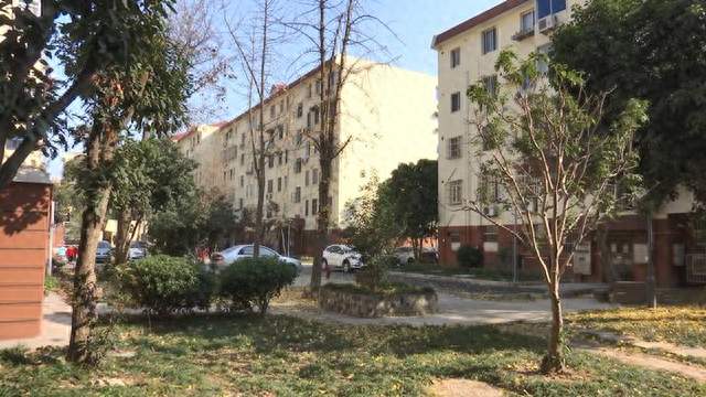 江苏一老人丧子后与儿媳同住，矛盾频发，放弃2套房继承权，只为在其中一套独居；律师解读：居住权未登记不