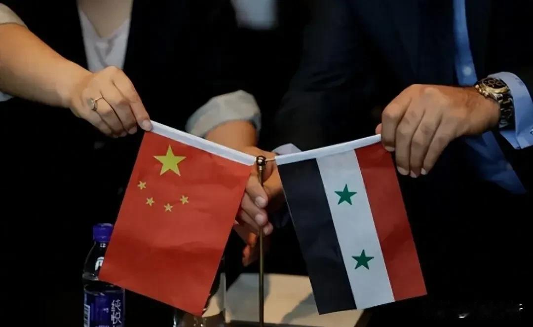 叙利亚换人，东大怎么办？

我们接待阿萨德访华这个事给了很多人一个误区，认为东大