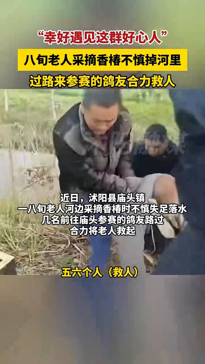 "幸好遇见这群好心人"，八旬老人采摘香椿不慎掉河里，过路来参赛的鸽友合力救人。