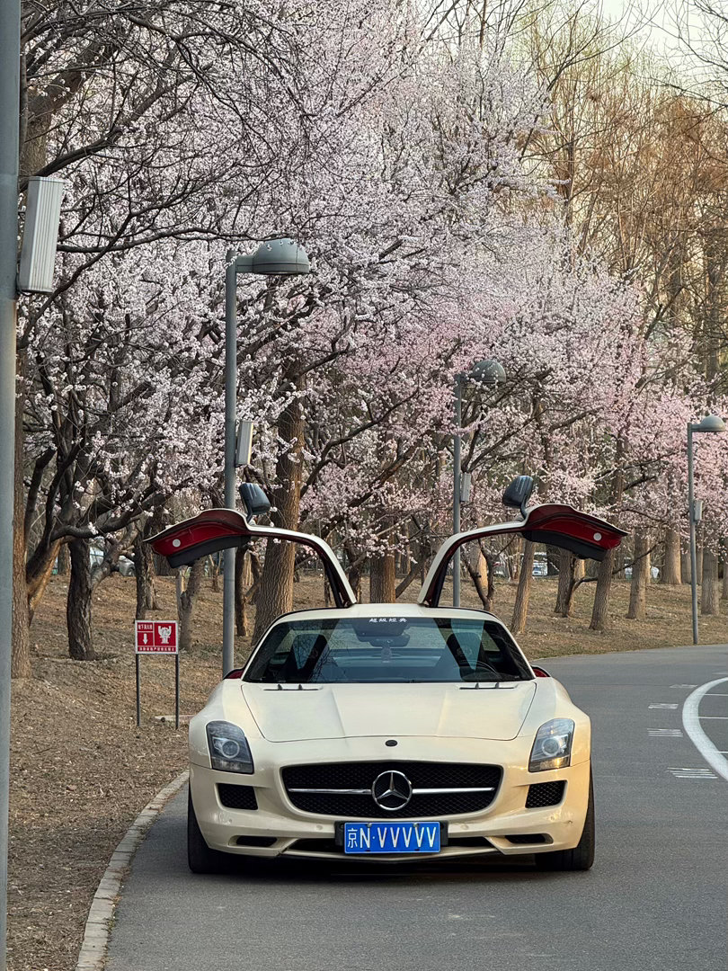 超级经典 北京春天限定景色 北京·奥林匹克森林公园