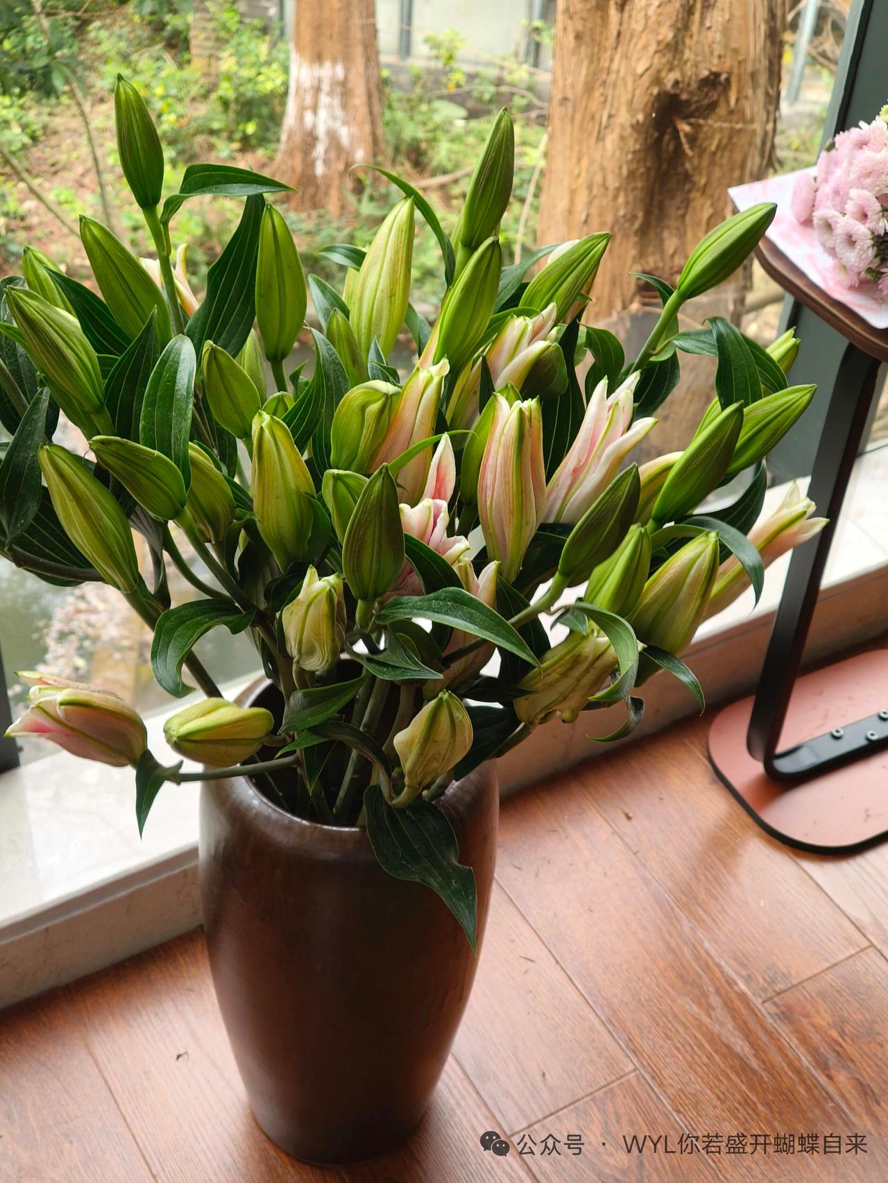 即使没时间全部回复，重要评论也该回应，不回就是轻视。[鼓掌][鼓掌][呲牙][呲