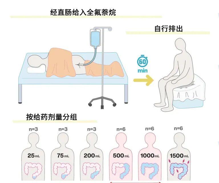 向肛门充入氧气并且憋住，人类或许真的可以用屁股呼吸！

你正沉在水底，肺里的空气