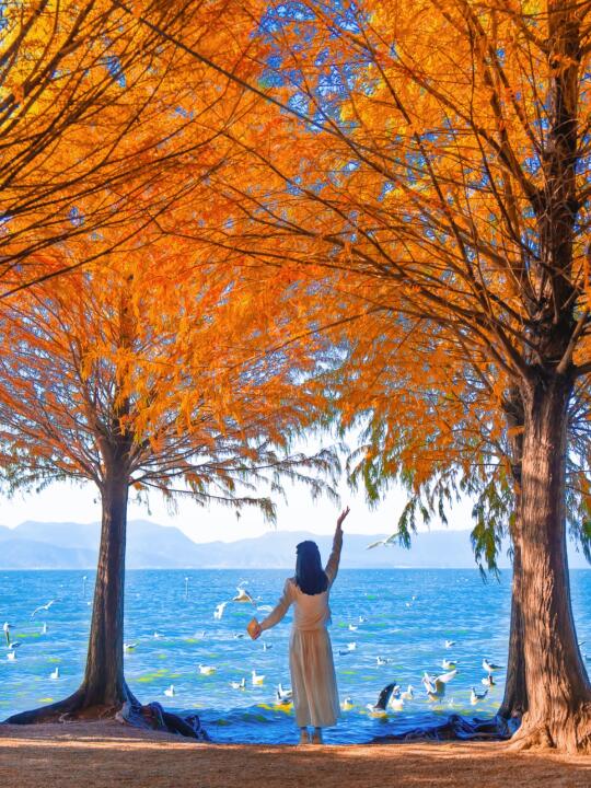 三刷昆明总结！错过这几个地方该有多遗憾啊