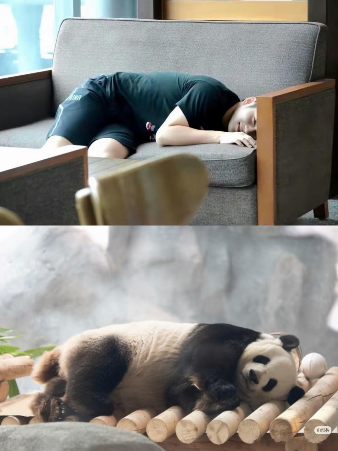 论适配性(一)！[大笑][大笑]