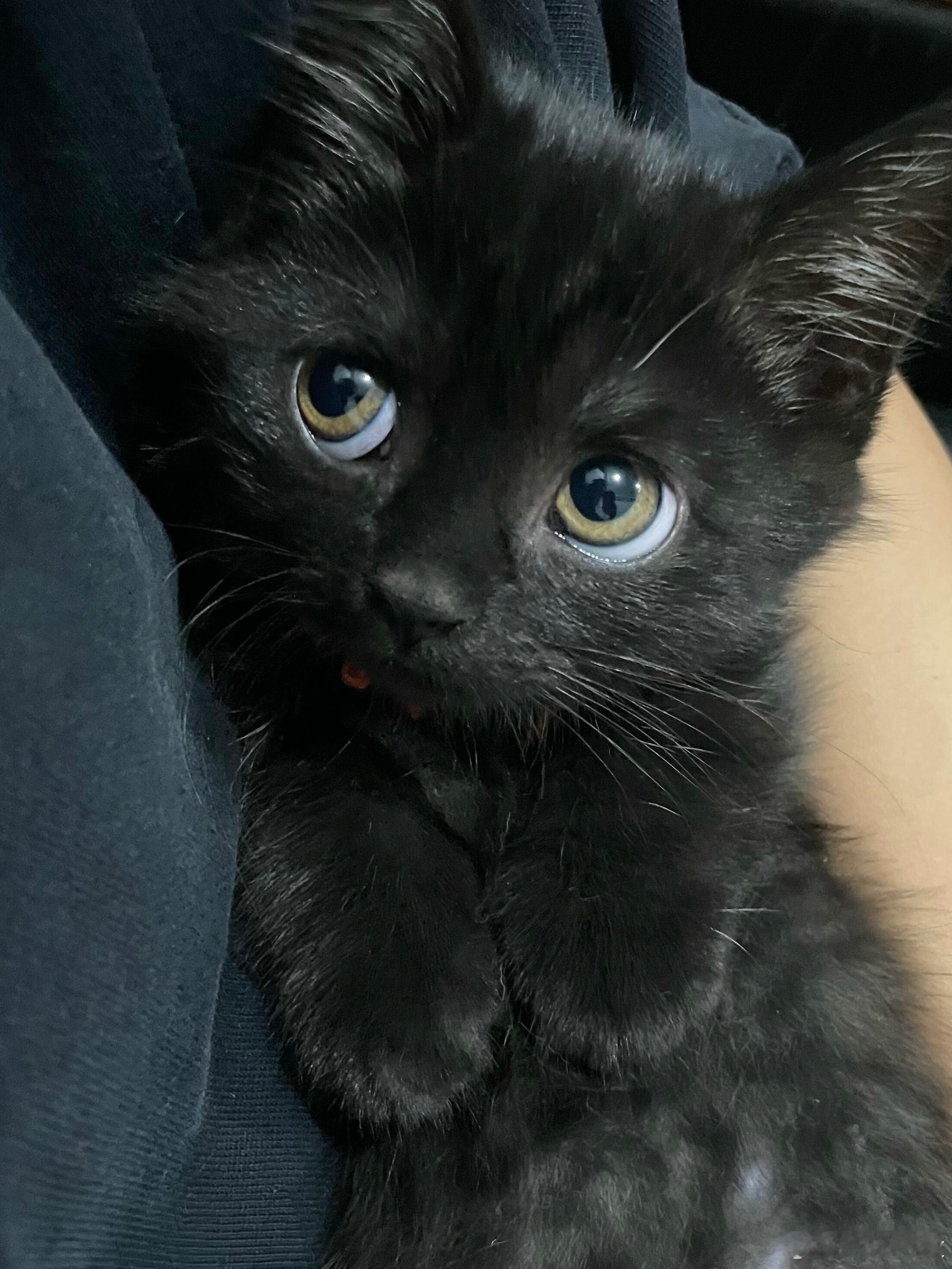 咪的眼睛亮亮的🐈‍⬛刘耀文 廿一流光共赴昭季 .时代少年团 湾区升明月 ​​​