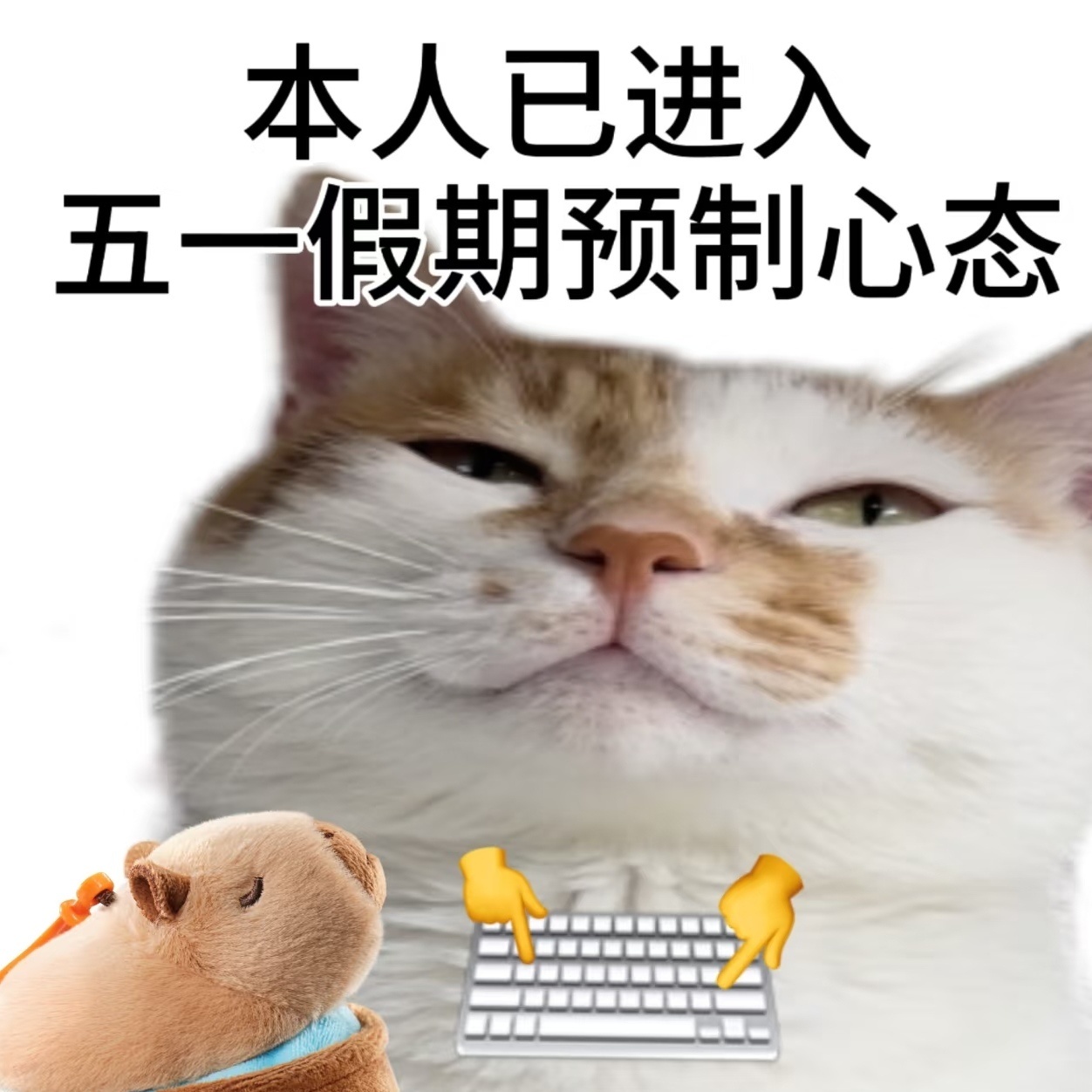 听一万遍反方向的钟就能回到五一吗？ ​​​