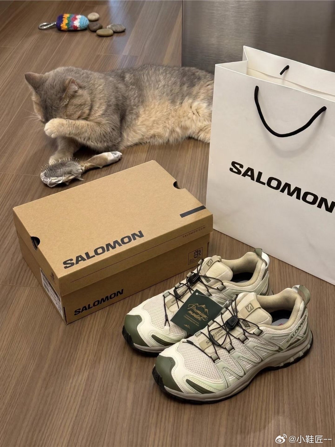 森系氛围感 Salom新配色 