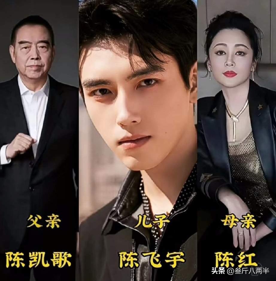 看了张学友罗美薇、陈凯歌陈红、王丽云车晓彤这些明星家庭的全家福，才发现基因和缘分