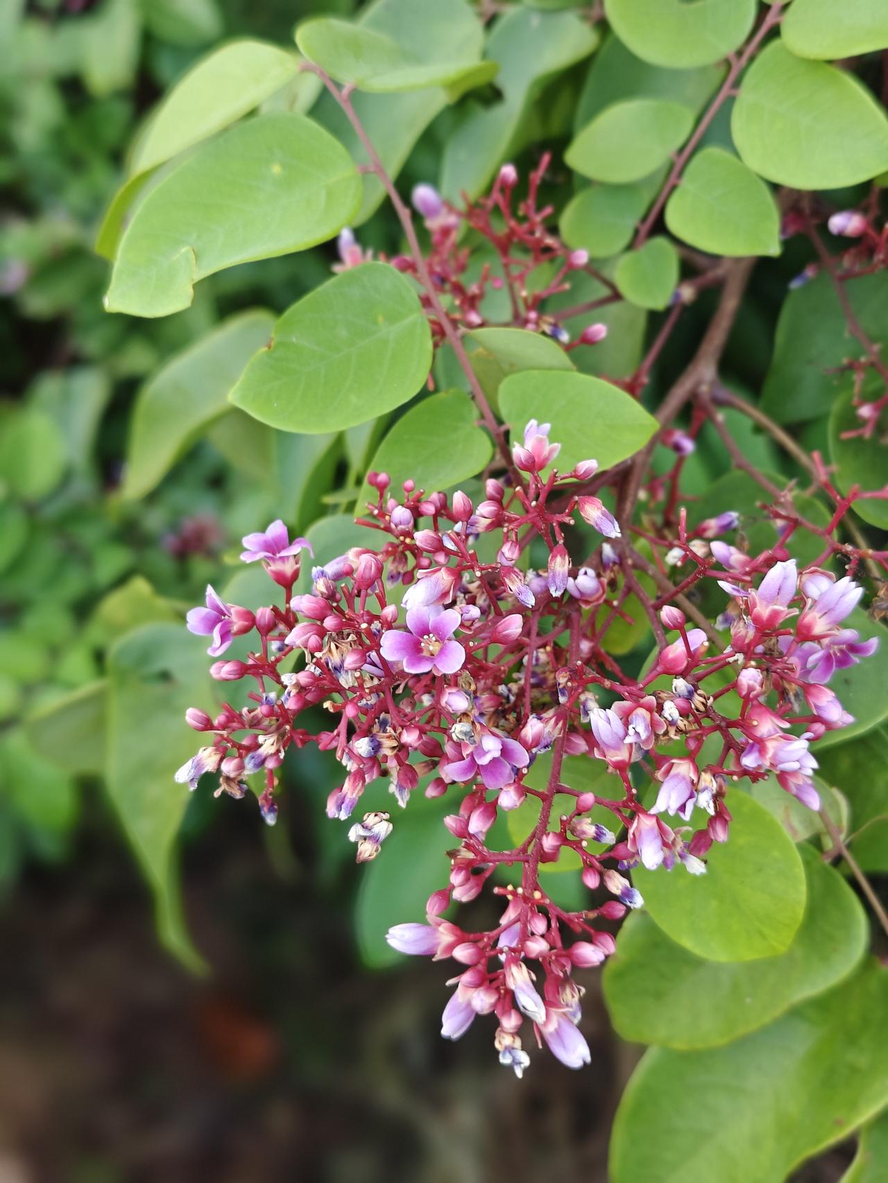 巨大商机！北方人终于用牙刷了！