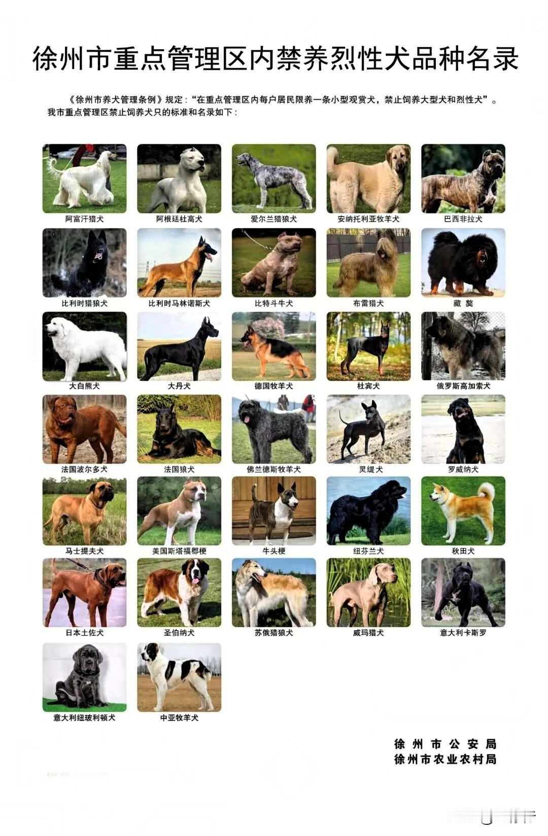 徐州养犬新规6月1日实施！大型犬和烈性犬禁养，违规养犬最高可拘留10日或罚款50