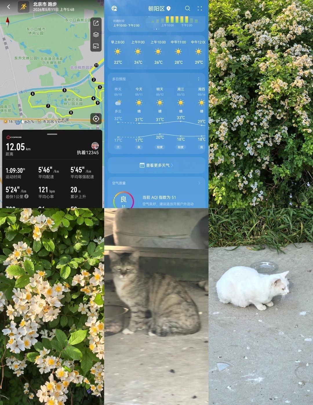 这周开启高温模式，我的噩梦来了[偷笑R][偷笑R][偷笑R][偷笑R][派对R]