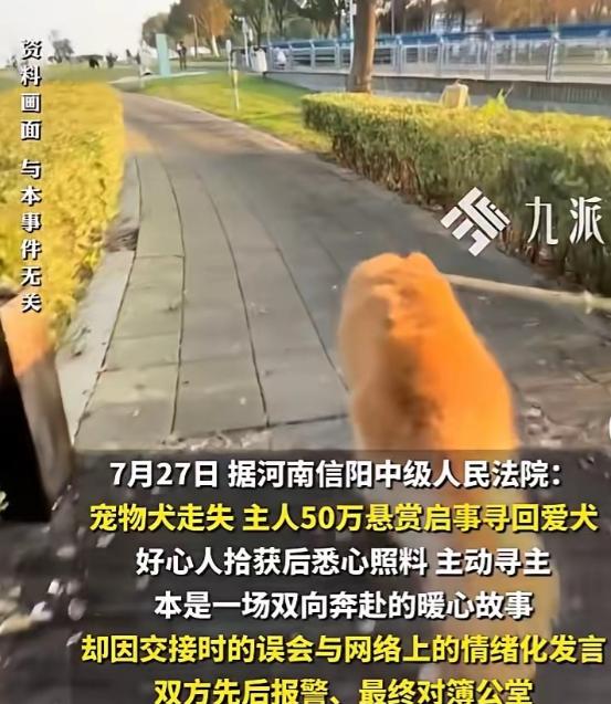 河南信阳，男子养了多年的狗丢了，发布悬赏：找到狗重谢50万元！可是在和拾狗者交接