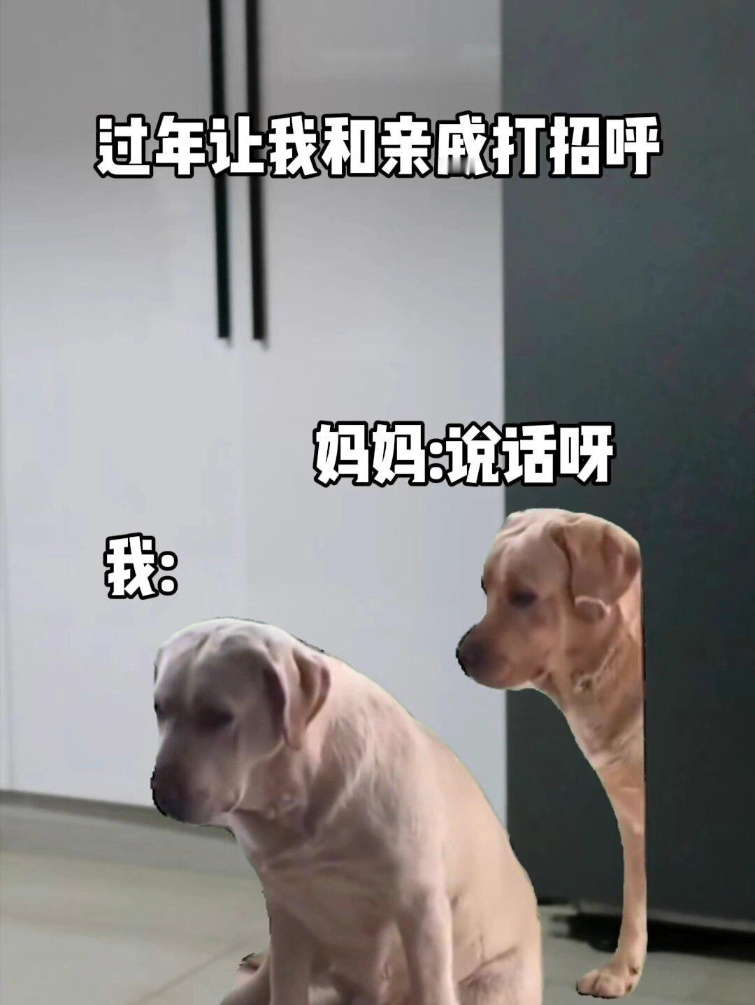 #年轻人过年主打一个放飞自我#当代年轻人过年现状#这届年轻人的过年精神状态# ​