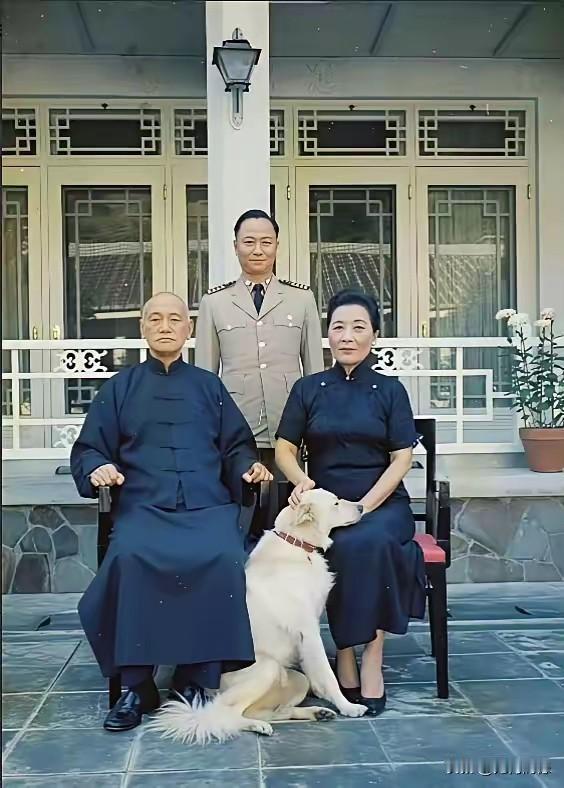 这两口子原来也非常喜欢毛孩子，这也许跟他们在一起之后，没有生小孩的缘故吧，只能把